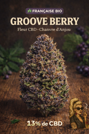 accueil 🍇 la groove berry