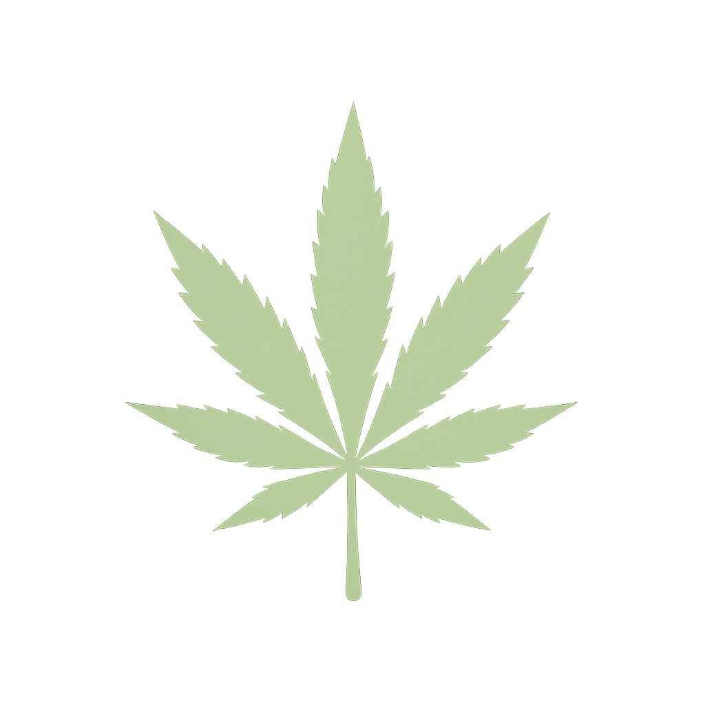 feuille cbd