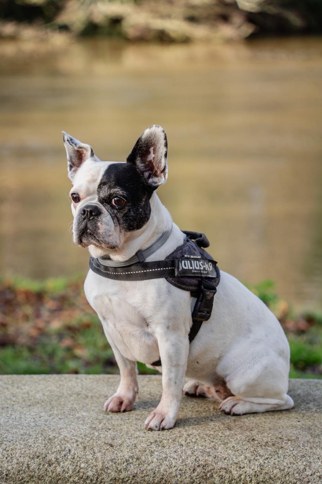 46a3e2d6 e567 43b7 bc1e 472f679c15a7