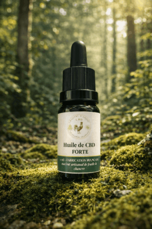 chatgpt image 17 mars 2026, 14 54 06 (1)