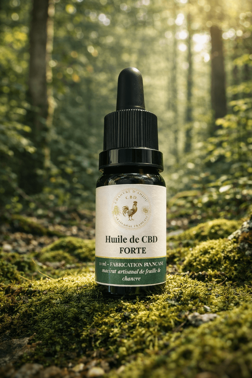 chatgpt image 17 mars 2026, 14 54 06 (1) chatgpt image 17 mars 2026, 14 54 06 (1)