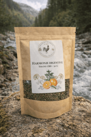 chatgpt image 17 mars 2026, 15 19 47 (1)