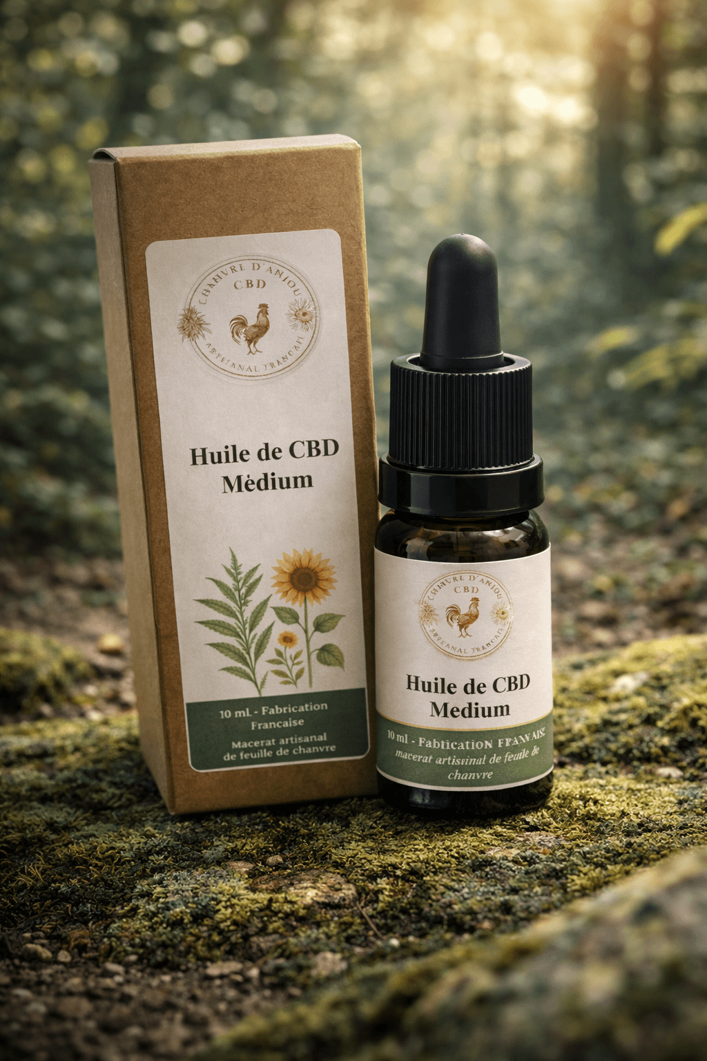 chatgpt image 17 mars 2026, 15 29 23 (2) chatgpt image 17 mars 2026, 15 29 23 (2)