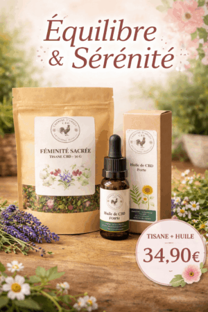 chatgpt image 18 mars 2026, 19 13 14 (1)