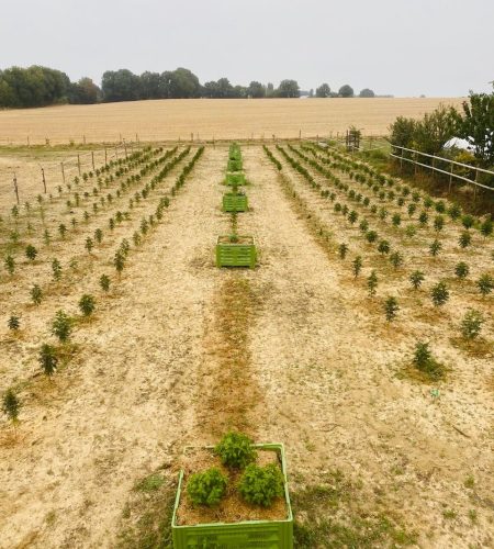 Notre ferme 7d915fd2 2bb2 4ede 8dcf b5c38776c210