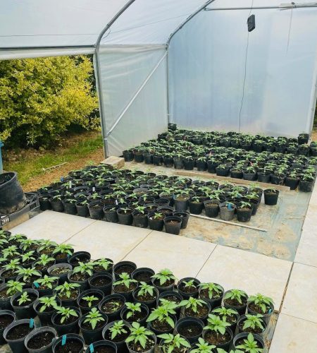 Notre ferme 9a0661a6 0989 487c b1c3 220405351176