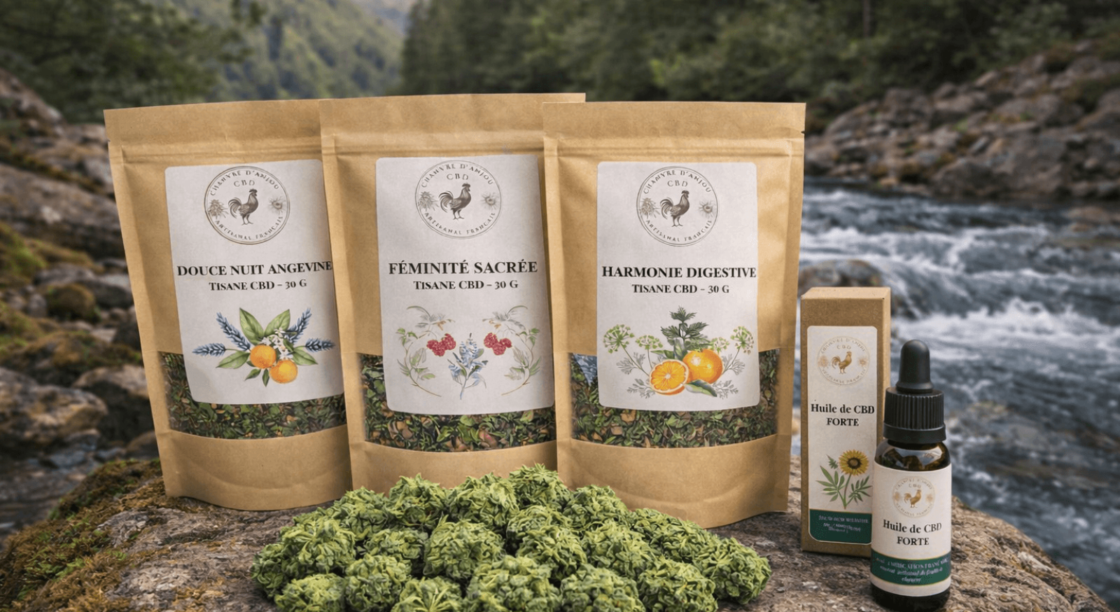 cbd anjou tisanes (1)